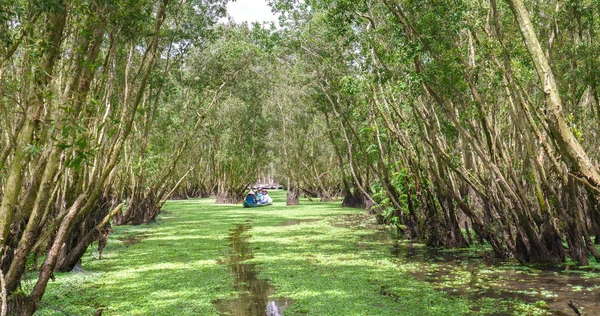 Il traghettatore porta il viaggiatore in barca lungo i canali nella foresta di mangrovie . — Foto Stock