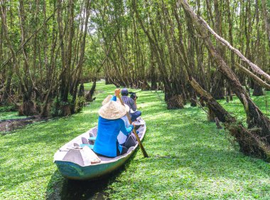 Kayıkçı gezgin bir tekne turu mangrov ormanın içinde kanalları boyunca alır.