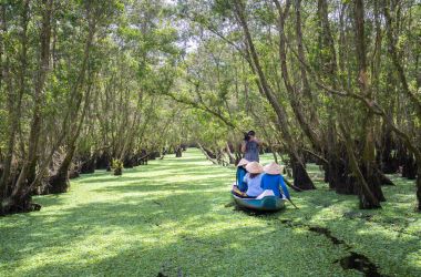 Kayıkçı gezgin bir tekne turu mangrov ormanın içinde kanalları boyunca alır.