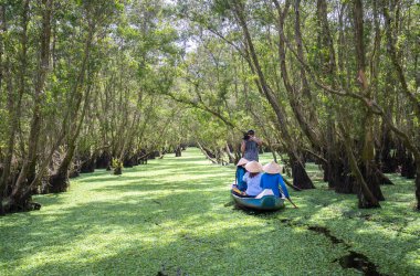 Kayıkçı gezgin bir tekne turu mangrov ormanın içinde kanalları boyunca alır.