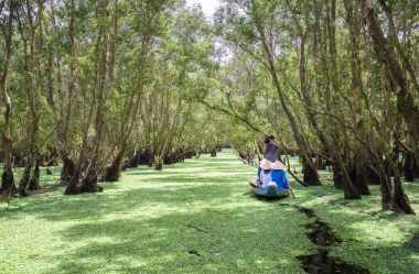 Kayıkçı gezgin bir tekne turu mangrov ormanın içinde kanalları boyunca alır.