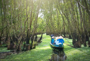 Kayıkçı gezgin bir tekne turu mangrov ormanın içinde kanalları boyunca alır.