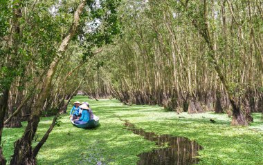 Kayıkçı gezgin bir tekne turu mangrov ormanın içinde kanalları boyunca alır.