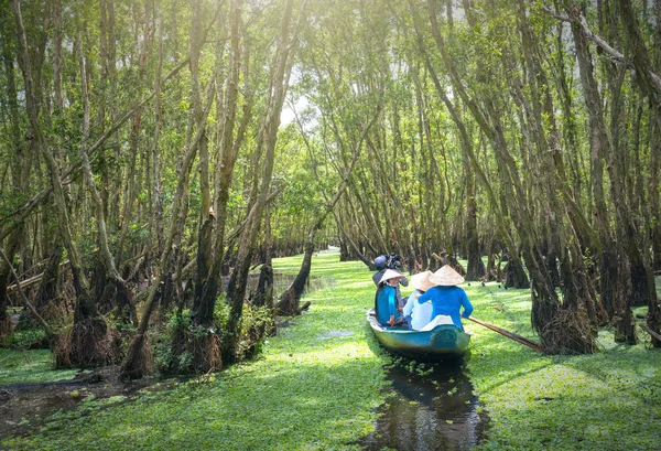 Kayıkçı gezgin bir tekne turu mangrov ormanın içinde kanalları boyunca alır.