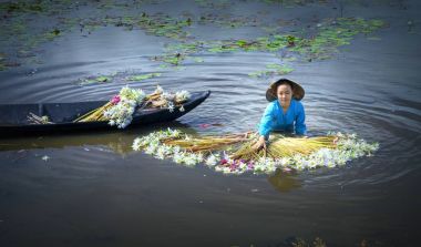 Çiftçiler lilyum bataklık altında hasat sel sezon sonra Temizleme 
