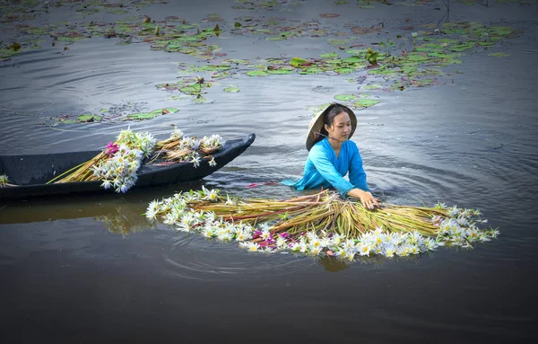 Boeren zijn het schoonmaken van lelies na oogst onder moerassen in de overstroming seizoen — Stockfoto