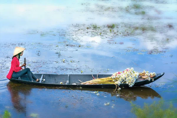 Boeren uitvoering lelies varen via landelijke moerassen in de vroege ochtend — Stockfoto