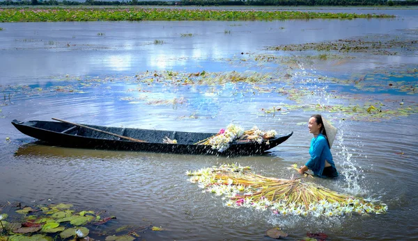  Çiftçiler lilyum bataklık altında hasat sel sezon sonra Temizleme