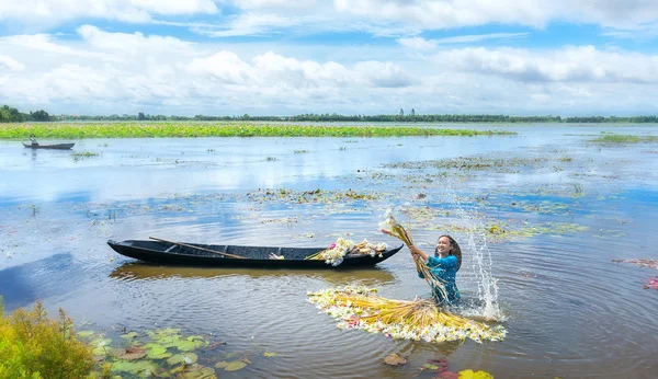 Boeren zijn het schoonmaken van lelies na oogst onder moerassen in de overstroming seizoen — Stockfoto