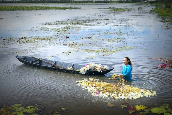 Boeren zijn het schoonmaken van lelies na oogst onder moerassen in de overstroming seizoen — Stockfoto