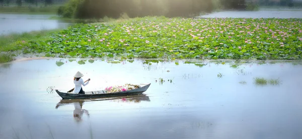 Boeren uitvoering lelies varen via landelijke moerassen in de vroege ochtend — Stockfoto