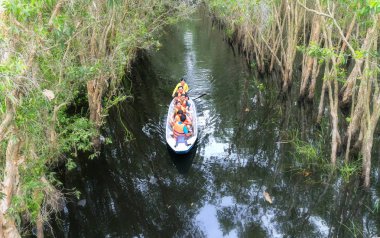 Kayıkçı gezgin bir tekne turu mangrov ormanın içinde kanalları boyunca alır.