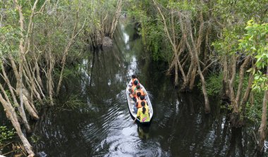 Kayıkçı gezgin bir tekne turu mangrov ormanın içinde kanalları boyunca alır.