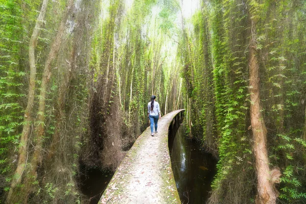 Touristes passant belle route à travers la forêt de melaleuca dans la matinée — Photo