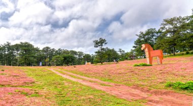 Muhteşem manzara pembe cam hills kontrast ekoturizm için büyük sahne dağlık bölgelerde oluşturma Dalat, Vietnam ile çam ormanları,