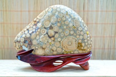 Ho Chi Minh City, Vietnam - 11 Şubat 2018: Ahşap ayak sergilenen sergiler bonsai ay yeni yıl gününde Ho Chi Minh City, Vietnam için parkta birçok mineral taş yerleştirilir.