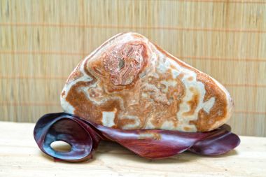 Ho Chi Minh City, Vietnam - 11 Şubat 2018: Ahşap ayak sergilenen sergiler bonsai ay yeni yıl gününde Ho Chi Minh City, Vietnam için parkta birçok mineral taş yerleştirilir.