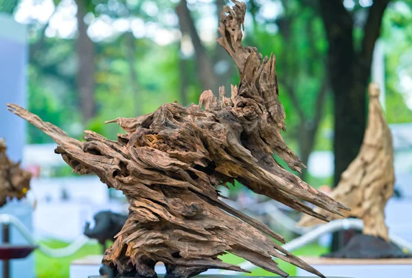 Chi Minh City Vietnam Febrero 2018 Árbol Madera Seca Varias — Foto de Stock