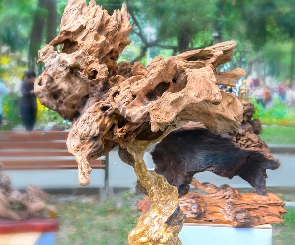 Chi Minh City Vietnam Febrero 2018 Árbol Madera Seca Varias — Foto de Stock