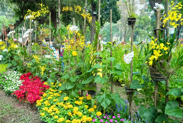 Cidade Chi Minh Vietnã Fevereiro 2018 Orquídeas Pavão Tapete Decoradas — Fotografia de Stock