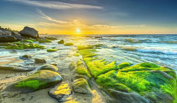 Pedras Cobertas Com Musgo Algas Marinhas Acolhe Amanhecer Belo Novo — Fotografia de Stock