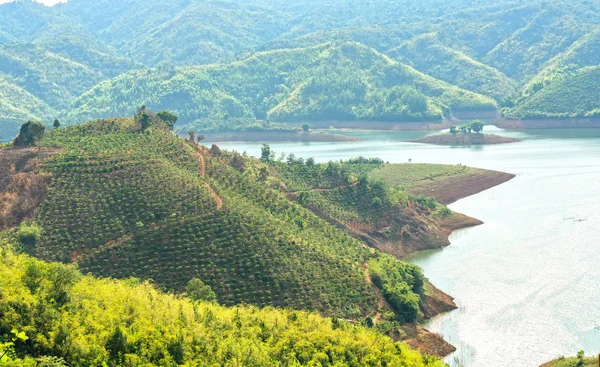 Sunny afternoon on the hillside hydrogen lake Ta Dung. There are large reservoirs providing water for large areas in the highlands of Vietnam