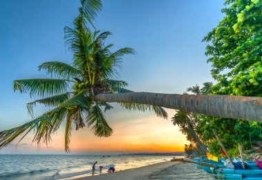 MUI Ne, Vietnam - 21 Nisan 2018: tropikal plajları öğleden sonra günbatımı güzel oluşturur gibi palmiye ağaçlarının eğlenirken turist paradise Beach deki MUI Ne, Vietnam hafta sonu misafirler için ayarlama