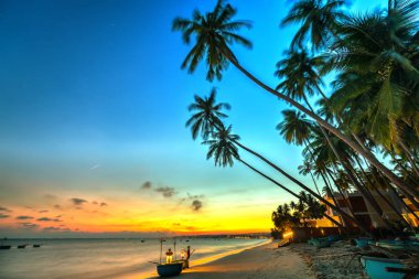 Sahilde eğik Hindistan cevizi ağaçları, uzun kumsalları ile güzel altın gökyüzü günbatımı ve romantik hafta sonu resort için.