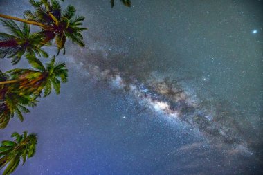 Gece yarısı yatay, Hindistan cevizi hurma ağacı siluet ve Samanyolu bir güzel yaz gecesinde gökyüzünde. Uzun pozlama fotoğraf.