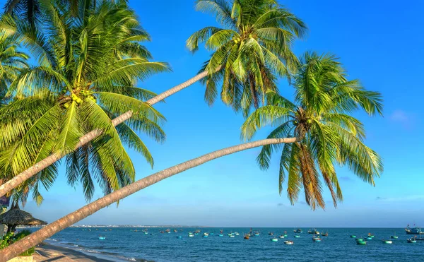夏日午后 倾斜的椰子树倚向热带海滩 下面是一艘美丽的船系泊 — 图库照片