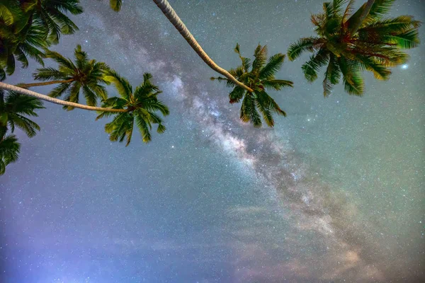 Paisagem Meia Noite Com Coqueiro Silhueta Láctea Céu Uma Bela — Fotografia de Stock