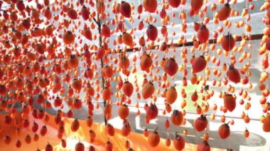 Kurutulmuş hurma Da Lat, Vietnam uygulanan geleneksel Japon teknolojisine göre kurutulur. Onlar tam bir kurutulmuş meyve üretmek için 25 günlük bir süre için kapalı bir evde bir teçhizat asılı