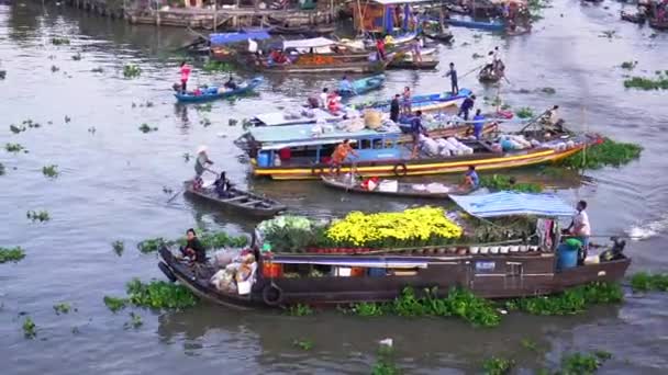 Σοκ Τρανγκ Βιετνάμ Ιανουαρίου 2019 Γεωργοί Μεταφέρουν Κίτρινες Μαργαρίτες Πλωτή — Αρχείο Βίντεο