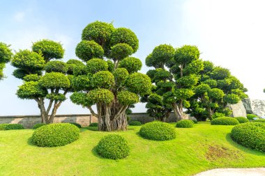 Eko-turizmin güzel bahçesi geleneksel Japon bahçeleri kültürü taşıyan selvi, çam, taş ve antik ağaçlarla uyum içinde tasarlanmıştır..
