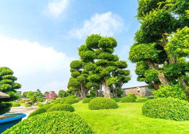 Eko-turizmin güzel bahçesi geleneksel Japon bahçeleri kültürü taşıyan selvi, çam, taş ve antik ağaçlarla uyum içinde tasarlanmıştır..