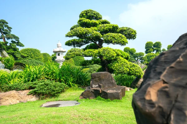 Hermoso Jardín Ecoturismo Está Diseñado Armonía Con Ciprés Pino Piedra — Foto de Stock