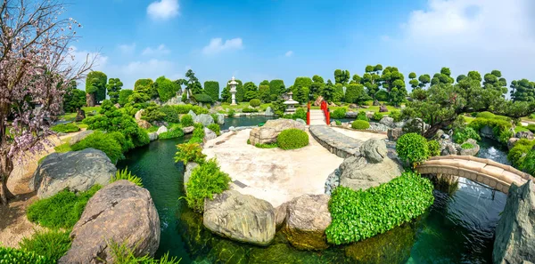 Hermoso Jardín Ecoturismo Está Diseñado Armonía Con Ciprés Pino Piedra —  Fotos de Stock
