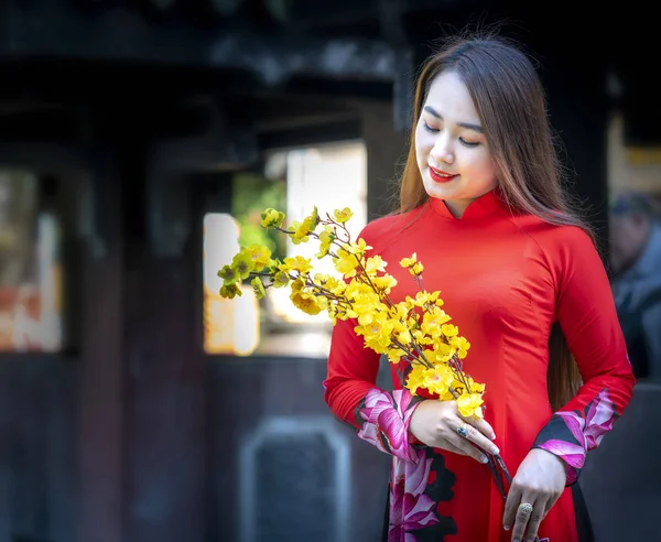 Chi Minh City Vietnam Prosince 2019 Vietnamská Dívka Tradičních Dlouhých — Stock fotografie