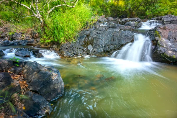 Чарівний Струмок Тропічному Лісі Якою Тече Водою Шерсть Протікає Через — стокове фото