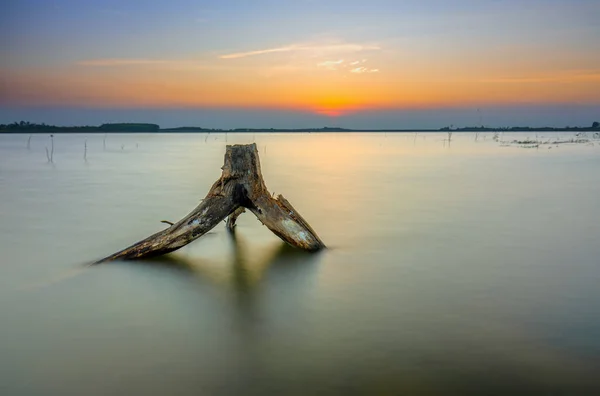 Zonsondergang Aan Het Meer Met Droge Twijgen Naar Zon Als — Stockfoto