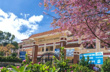 Da Lat, Vietnam - 7 Ocak 2020: Vietnam, Da Lat 'ta eğitimin gelişimini göstermek için kiraz çiçekli Highland bahar sabahı bir ilkokulun kapısı