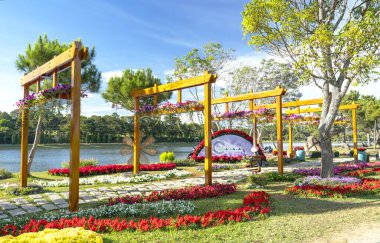 Da Lat, Vietnam - 6 Ocak 2020: Çiçek Festivali için nehir kenarındaki çiçek bahçelerini dekore etmek. Bahar aylarında Da Lat, Vietnam 'da kiraz çiçeklerinin açtığı bu yıllık festival