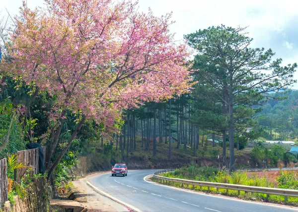 Lat Vietnam January 8Th 2020 Cars Driving Country Road Foreground — Zdjęcie stockowe