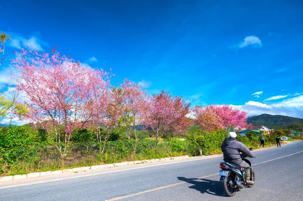 Lat Vietnam January 8Th 2020 Cars Driving Country Road Foreground — Zdjęcie stockowe