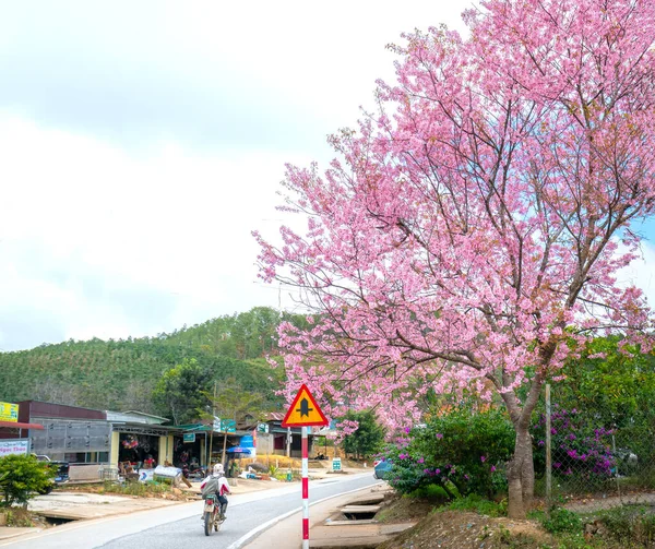 Lat Vietnam January 8Th 2020 Cars Driving Country Road Foreground — Stock Photo, Image