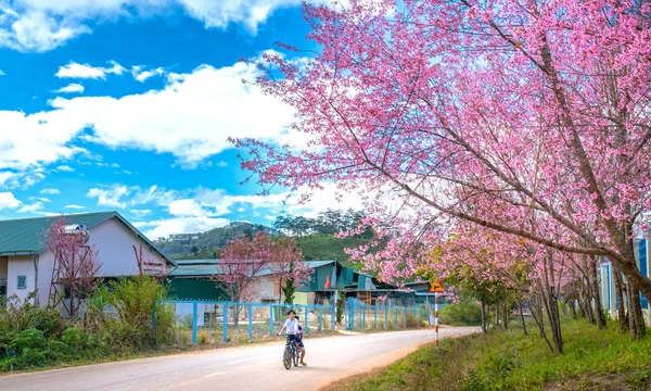 Lat Vietnam January 8Th 2020 Pupil Ride Bicycle School Morning — ストック写真