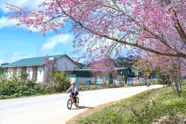 Lat Vietnam January 8Th 2020 Pupil Ride Bicycle School Morning — Stock Fotó