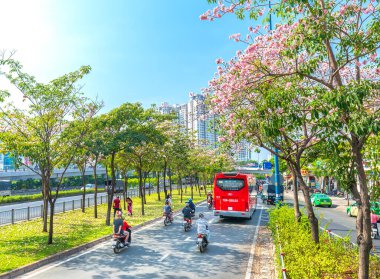Ho Chi Minh şehri, Vietnam, 7 Şubat 2019: Saigon caddesinde motosikletli trafik, Ho Chi Minh City, Vietnam 'da pembe tabebuia gül ağacı altında hareket eden araba