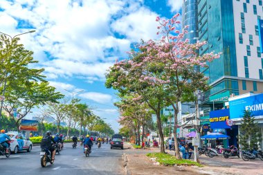 Ho Chi Minh şehri, Vietnam, 8 Şubat 2019: Tabebuia Rosea çiçekleri yol kenarına ekilen ve büyüyen şehir manzarası Ho Chi Minh, Vietnam
