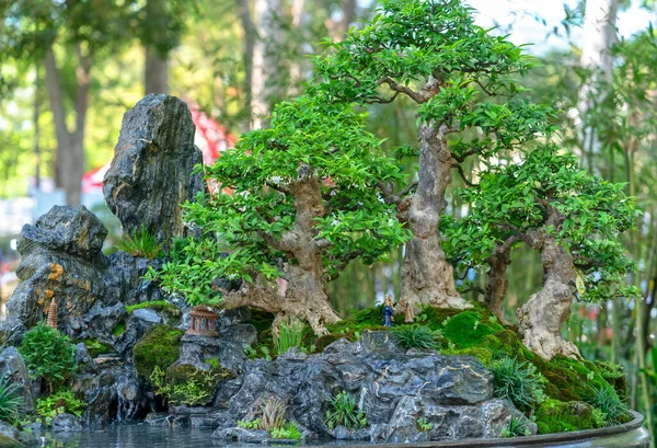 Bonsai Penjing Con Miniatura Una Bandeja Como Decir Vida Humana —  Fotos de Stock